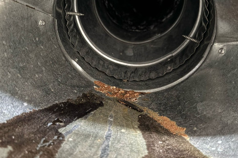 Sprint Dryer Vent Service